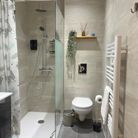 Le Patio - Valmy - Hypercentre - Gare Sncf Apartamento