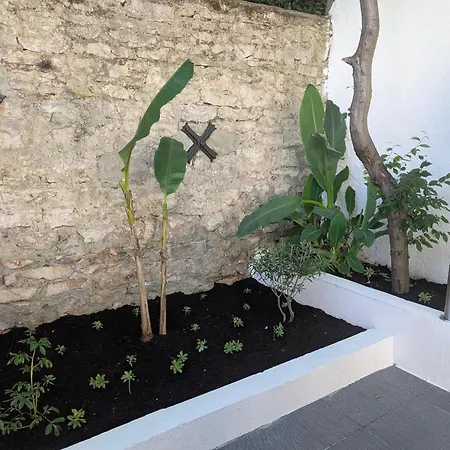 Apartamento Le Patio - Valmy - Hypercentre - Gare Sncf *